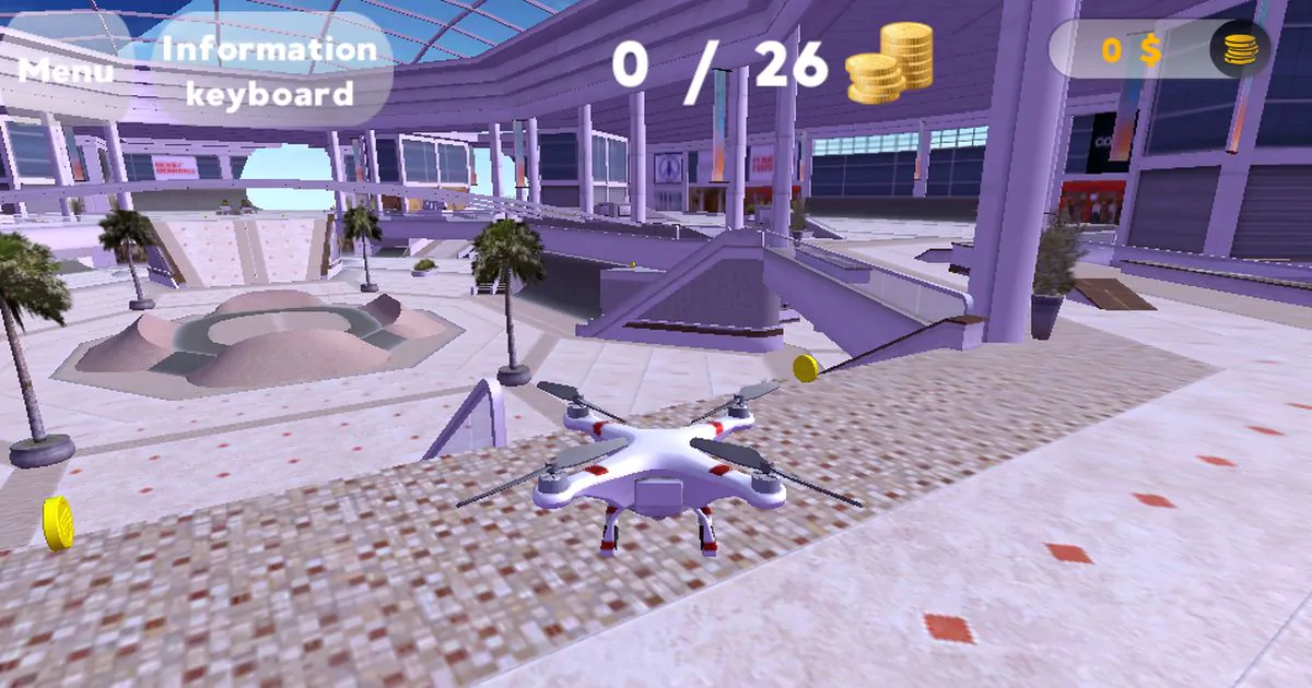 Image Drone Flight Simulator