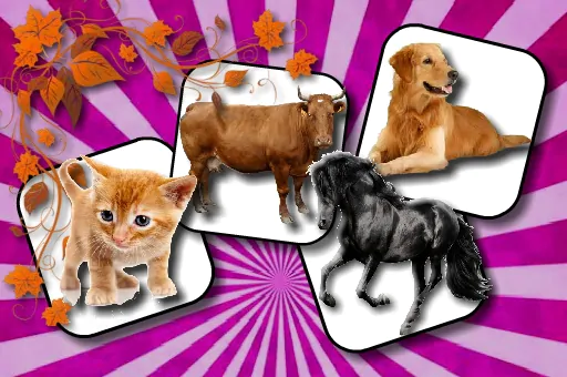 Image Domestic Animal Memory Challenge