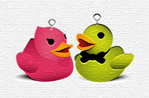 Image Duck Memory Challenge
