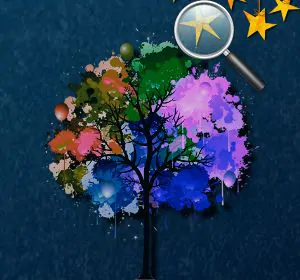 Image Forest Hidden Stars