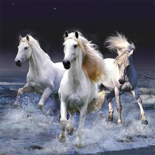 Image Horses Slide
