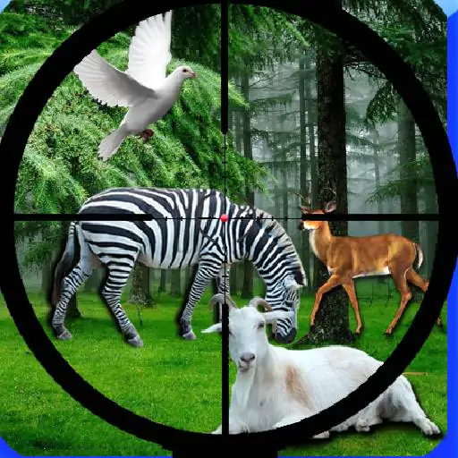 Image Real Jungle Animals Hunting