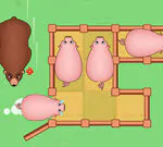 Slide Puzzle: Piggy Move